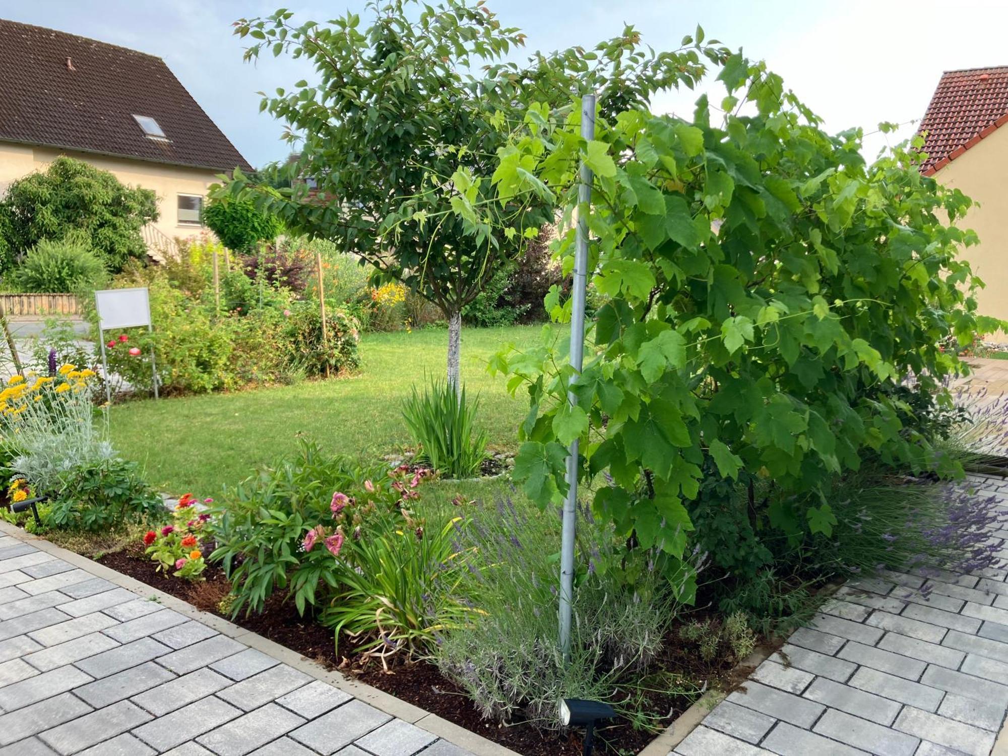 Ferienhaus Koch Bad Staffelstein Kültér fotó